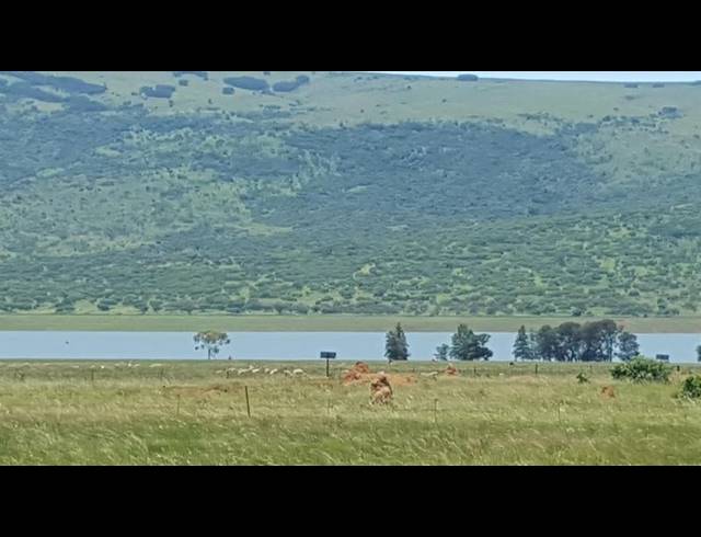 INDUSTRIAL PROPERTY TO RENT IN LYDENBURG RURAL